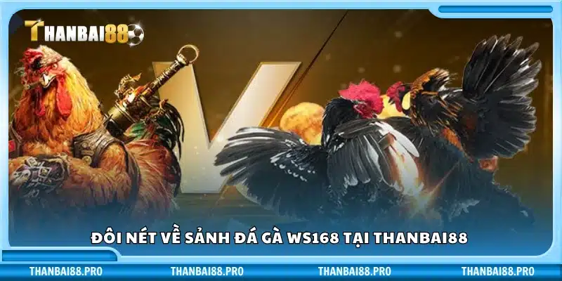 Giới thiệu về sảnh đá gà WS168 trên Thanbai88