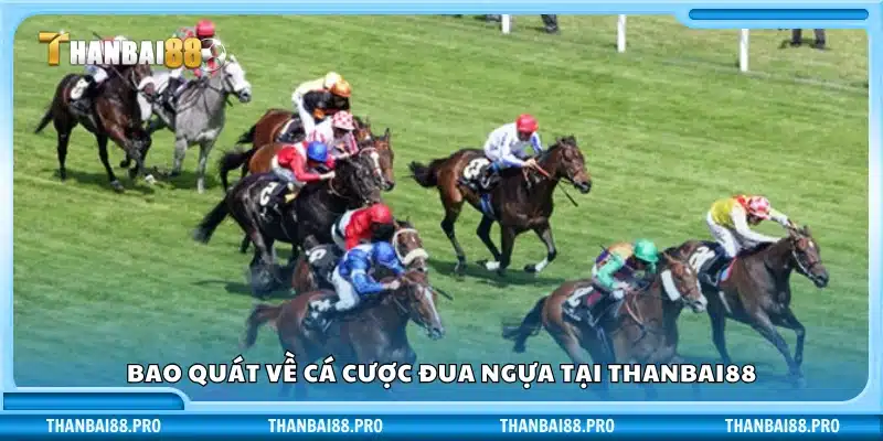 Tổng quan hình thức cá độ đua ngựa tại Thanbai88