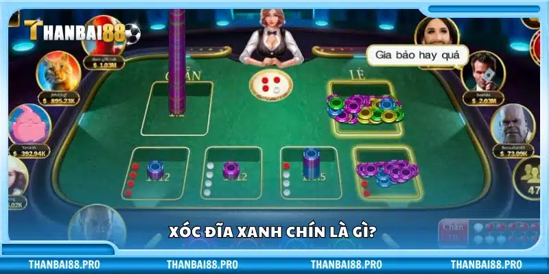 Xóc đĩa xanh chín là gì?